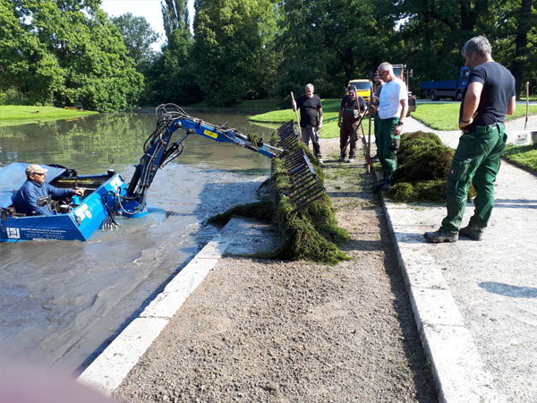 Helfer beim mähen der Wasserpest in der Karlsaue