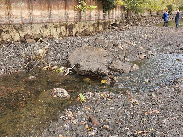 Spontane Säuberung der Fulda