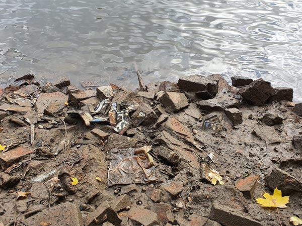 Spontane Säuberung der Fulda