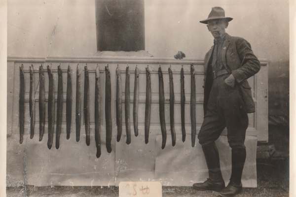 Historische Bilder des KAV