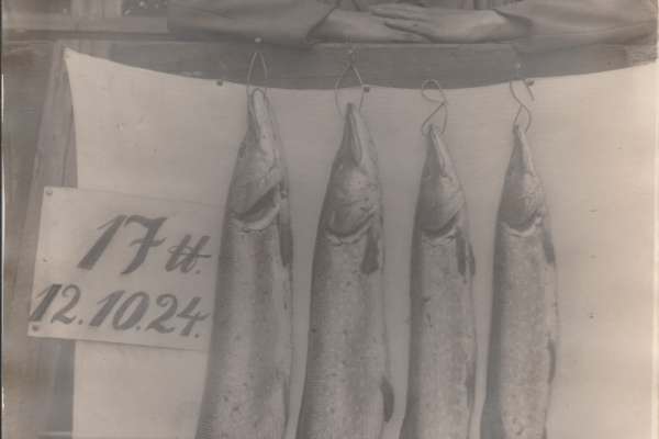 Historische Bilder des KAV