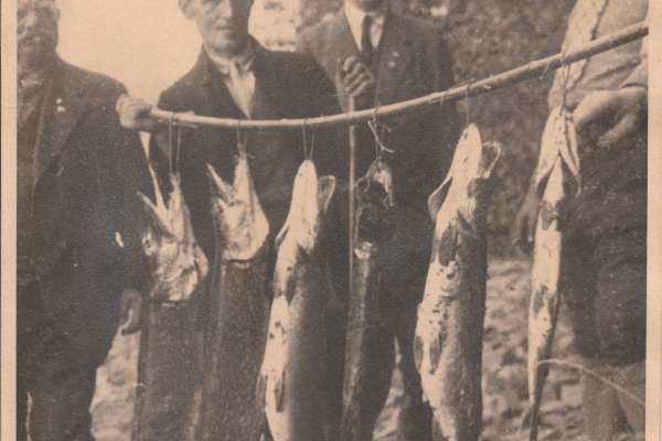 Historische Bilder des KAV