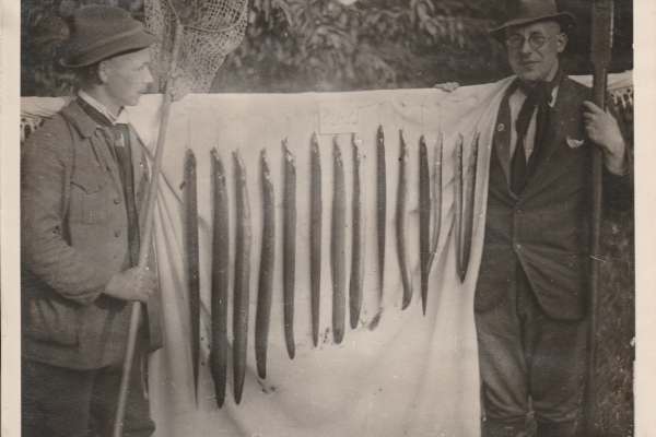 Historische Bilder des KAV