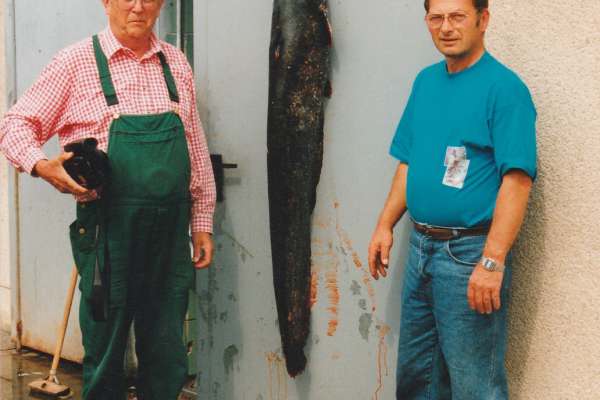 Historische Bilder des KAV