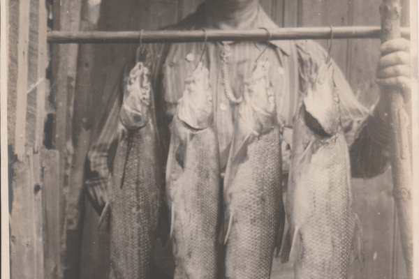 Historische Bilder des KAV